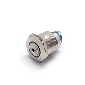 Metal Buzzer Push Button Switch